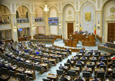 Conducerea ICR votată de Senat, PSD obține președinția