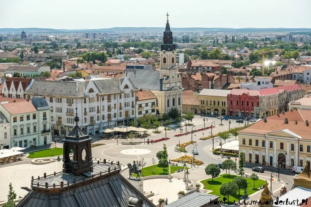 Primăria Oradea, obligată să plătească despăgubiri după ce copaci neîntreținuți au avariat mașini