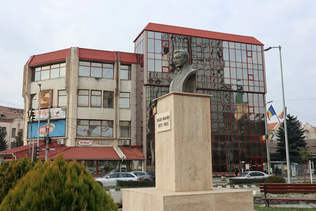 Vlad Stroescu cere reformarea legii sănătății mintale pentru sprijin real în România
