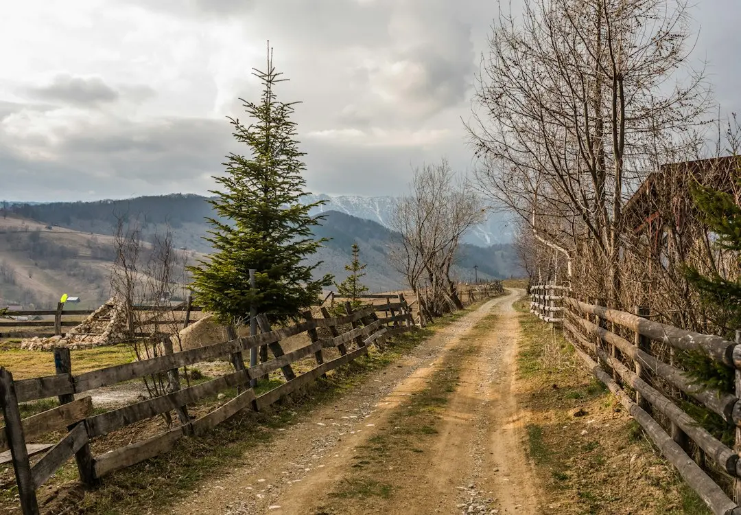 Temperaturi negative în Munții Carpați: vârful Omu atinge -5,2°C