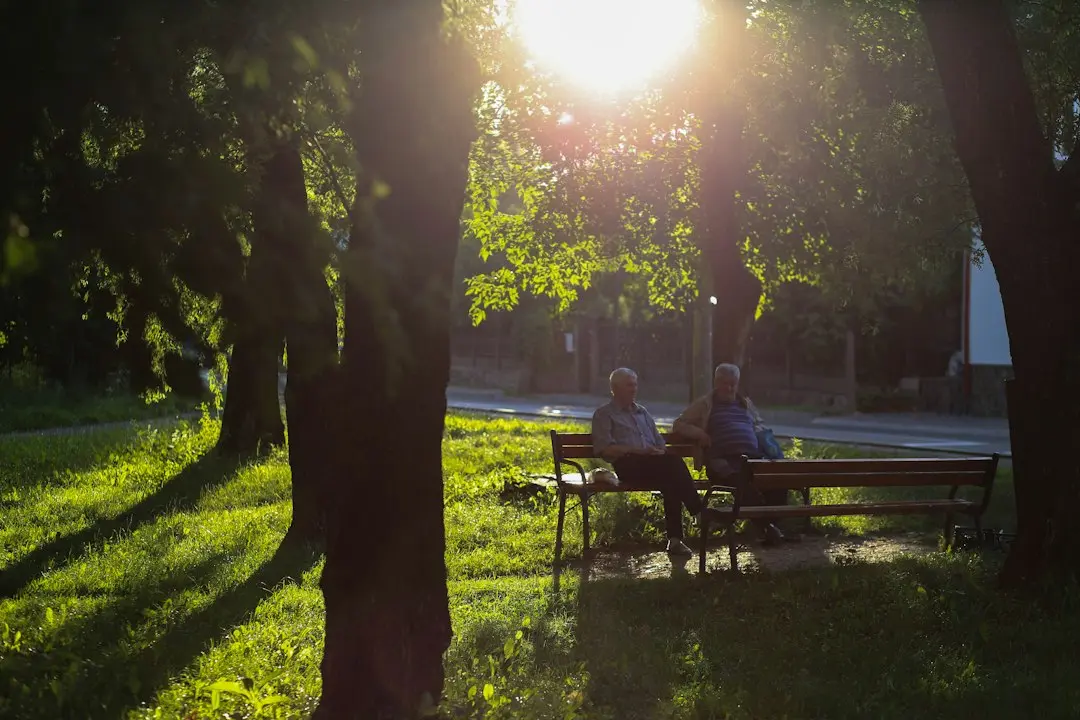 Baia Mare găzduiește 'Promenada Inimilor' cu verificări gratuite ale sănătății